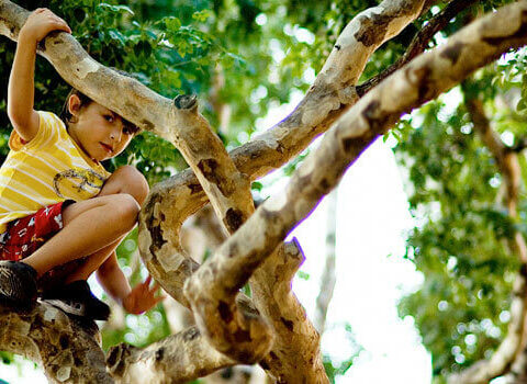 CONNECTING WITH VITAMIN N: A Ten-Year Reflection from One of Canada’s Leading Conservationists