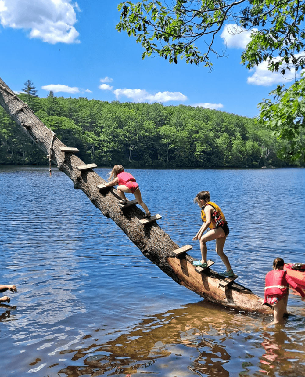 Children climbing a slanted tree trunk over a lake on a sunny day.