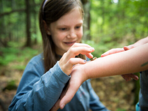 Child born of the woods