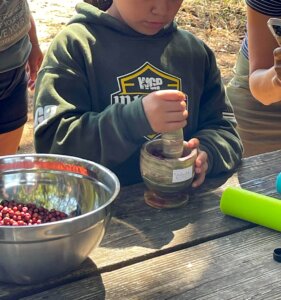A Native youth grinding manzanita berries in a mortar.