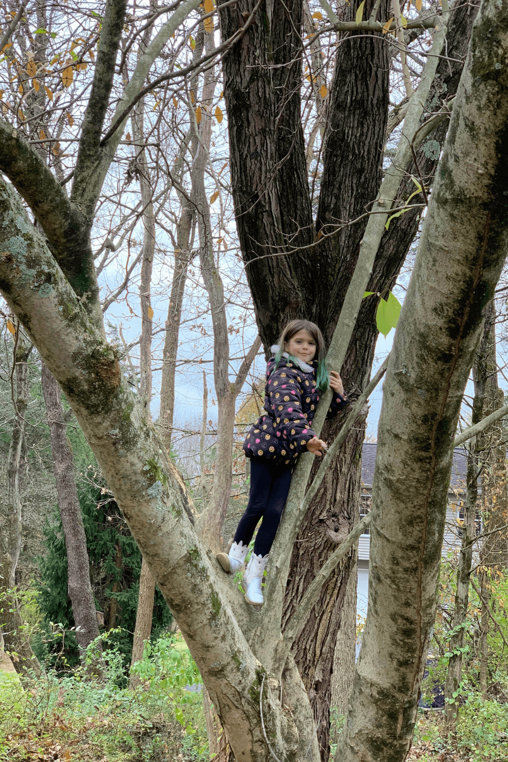 Child standing on a tree branch in a wooded yard during late autumn.