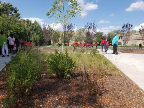 SEEING GREEN: How Natural Schoolyards Enable Equitable Engagement with Nature