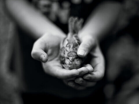 Outdoors for All: Access to Nature is a Human Right