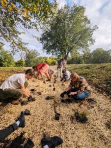 A group of students help sew seedlings into the ground in a patch of grass, with trees in the background.