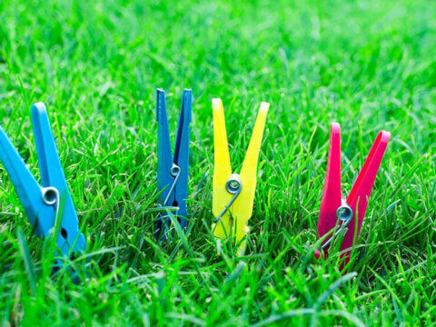 BUCKET FULL OF NATURE: A Fun Indoor Nature Challenge for Families