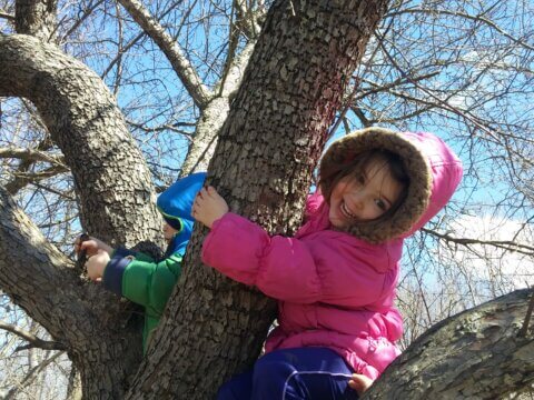 The case for climbing trees