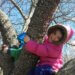 Two children in colorful jackets climbing and playing in a leafless tree on a sunny day.
