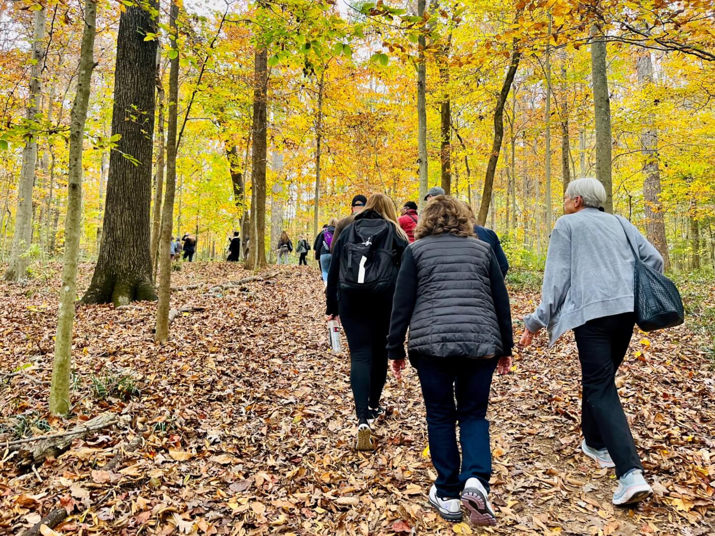 people walking through the forest in the fall time