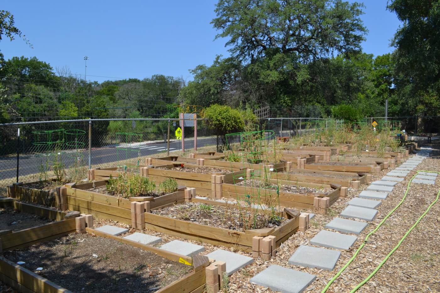 The garden beds at Hill Elementary School in Northwest Austin are a highlight of the school's outdoor learning program. In addition to classroom beds, the school makes some garden beds available for neighbors and community members, along with a sizable dirt-digging bed for all.