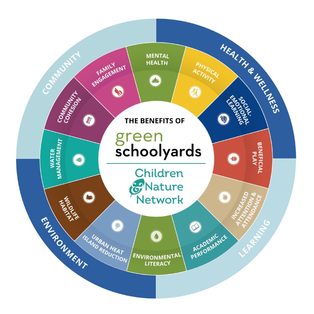Circular infographic titled &ldquo;The Benefits of Green Schoolyards&rdquo; by the Children & Nature Network. The wheel shows four main benefit areas&mdash;Health & Wellness, Learning, Environment, and Community&mdash;each with related outcomes. Health & Wellness includes mental health, physical activity, social-emotional learning, and beneficial play. Learning includes increased attention and attendance, academic performance, and environmental literacy. Environment includes urban heat island reduction, wildlife habitat, and water management. Community includes community cohesion and family engagement.