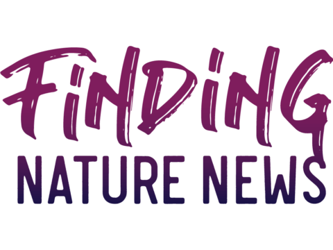 September 2, 2021: The equitable nature of Saint Paul, Minnesota