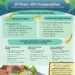 An infographic titled “10 Years. 100 Communities.” with the subtitle “Lessons learned about systemic change for children in nature.” The graphic explains that transformational change happens when communities bring well-designed teams and Nature Everywhere provides proven process and evidence-based resources.