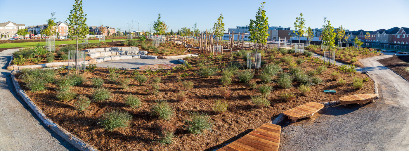 A panoramic shot of a mulched greenspace with bushes and newly planted trees. The space includes a small section with stone seating, and is ringed by a pavement path with wooden benches.