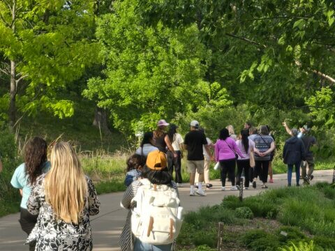 Nature as Healer: Building a movement for children’s mental health in nature