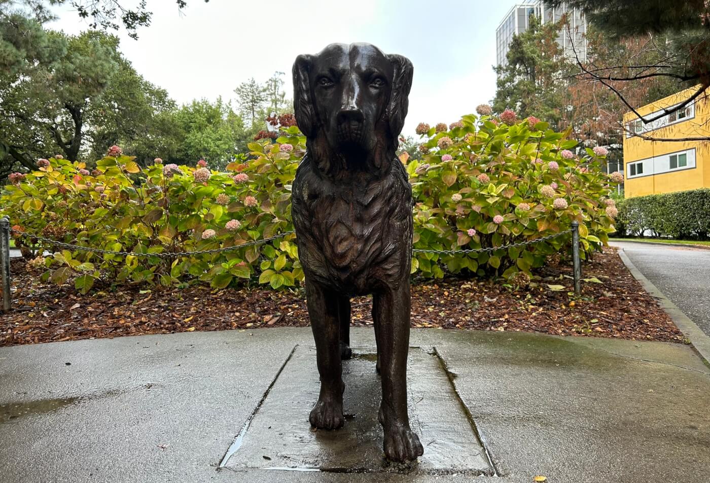 An image of a life-sized iron statue of a shaggy dog, facing towards the camera.