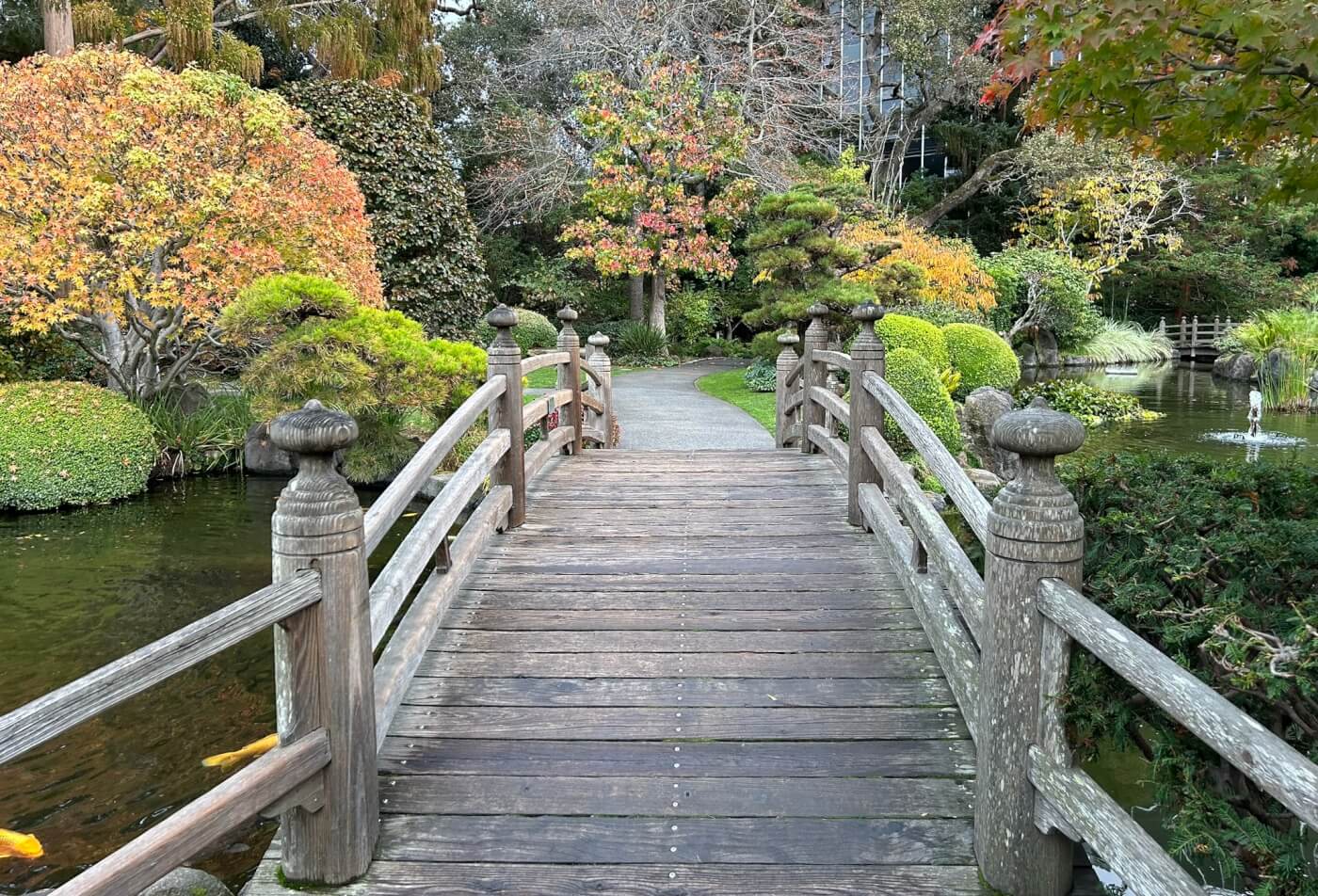 A wooden bridge stretches out ahead over a koi pond in a Japanese garden. There are bushes and trees in shades of green and orange.