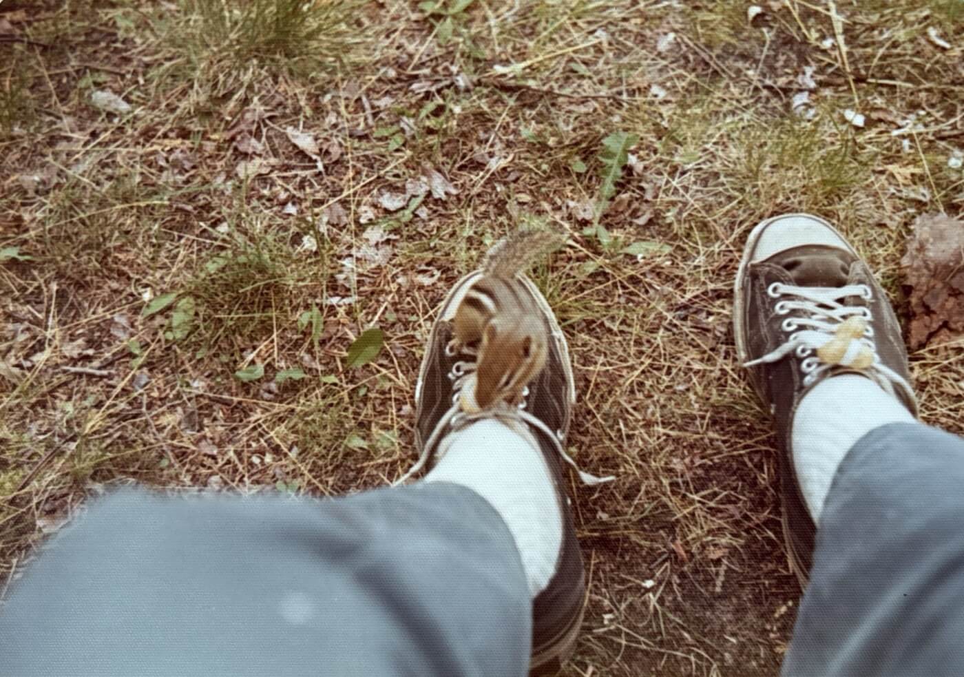 Two feet in black Converse sneakers from the photographer’s view. There is a chipmunk on the left shoe.