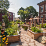 A group of students explore several raised garden beds outside of an urban school.