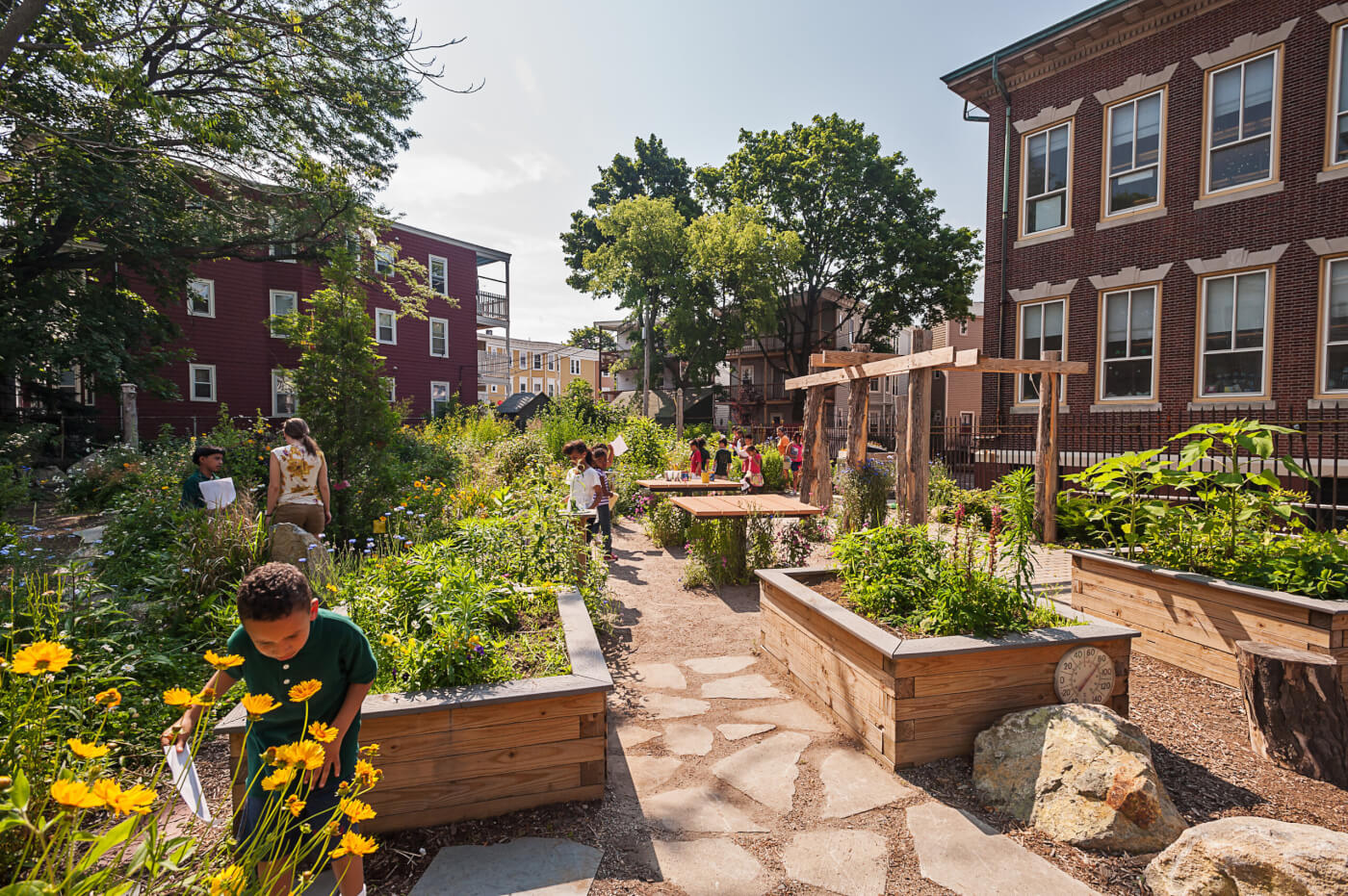 A group of students explore several raised garden beds outside of an urban school.