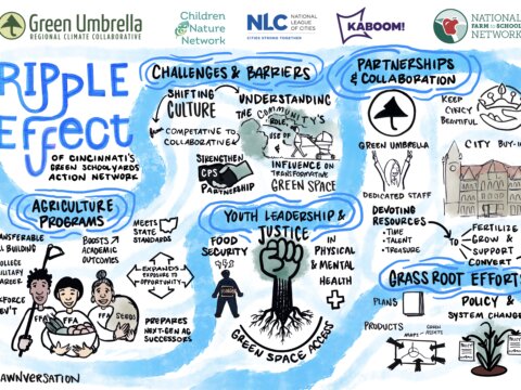 Cincinnati: From green schoolyards to city-wide green initiatives