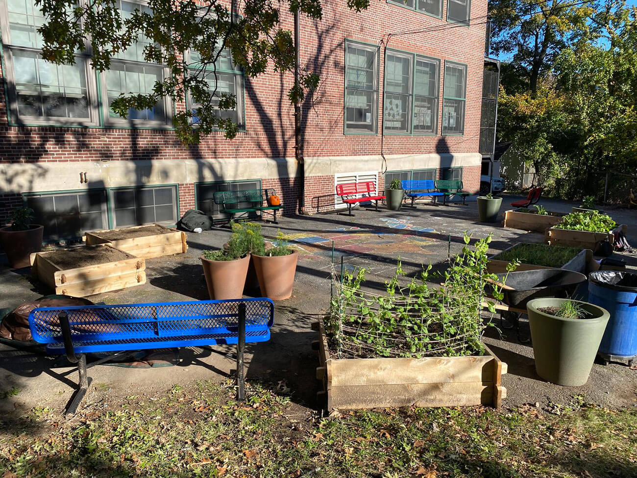 A new school garden enhances the schoolyard at Nathan Hale Elementary School. Photo courtesy of CitySprouts.
