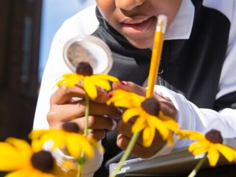 CitySprouts school garden program improves science learning equity