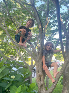 Two children sitting and climbing in the branches of a small leafy tree.