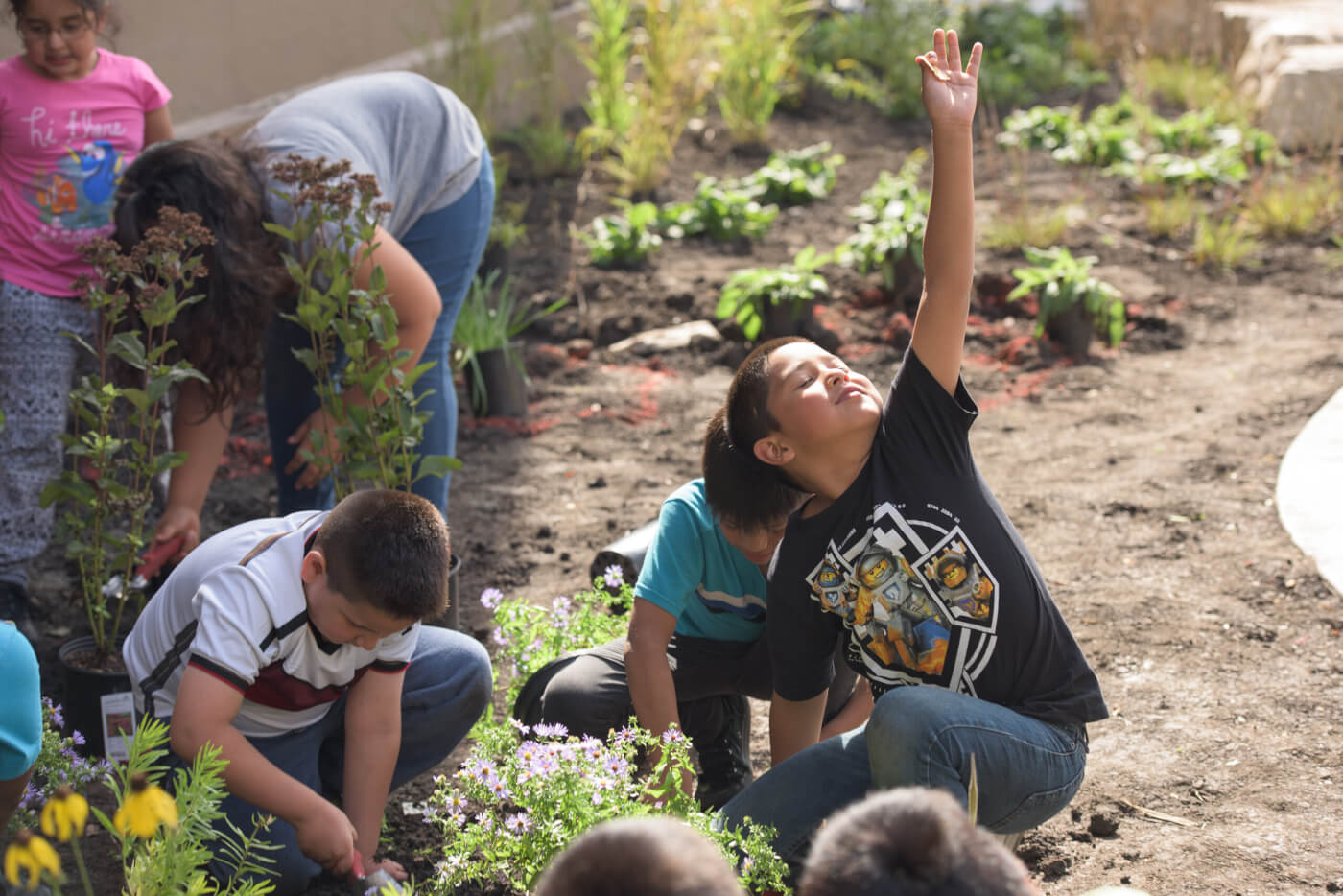 Children plant flowers together in a garden bed, with one child raising a hand while others dig in the soil surrounded by young plants.