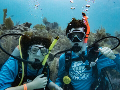 Using science and play to inspire families to connect with nature