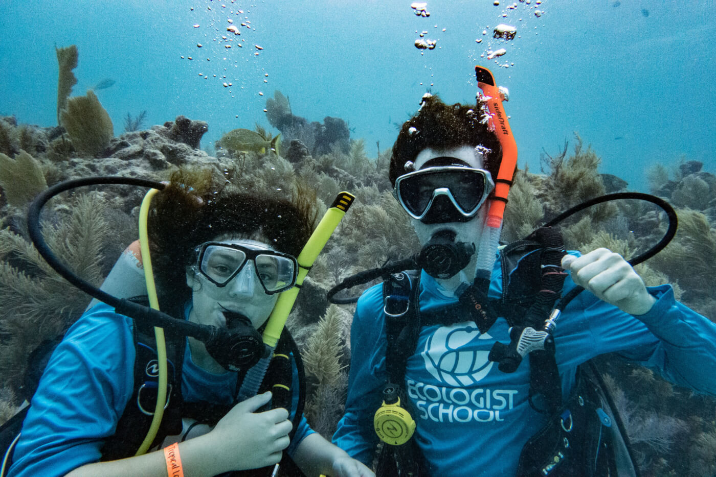Using science and play to inspire families to connect with nature