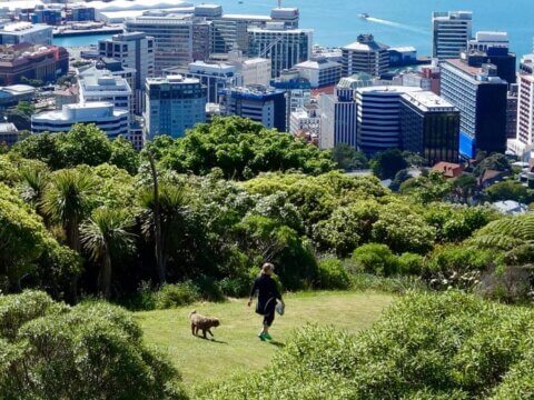 THE HELSINKI ALERT: Prestigious International Group of Scientists and Health Experts Calls for Cities Rich in Nature