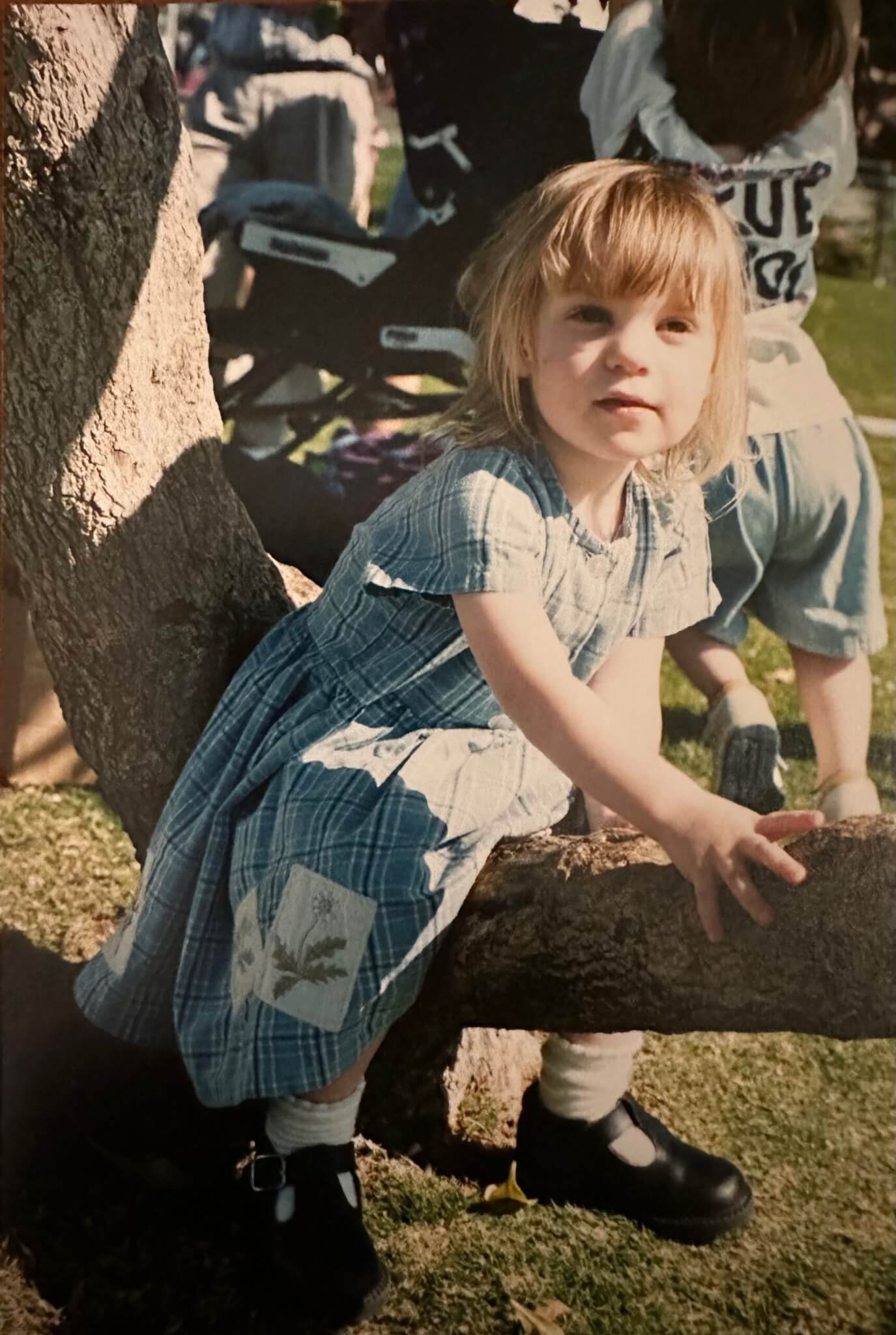 Young child sitting on a low tree branch in a sunny park.