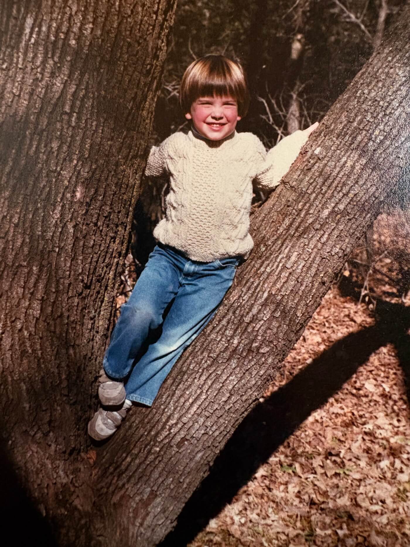 Child smiling while perched between the trunks of a tree in a wooded area.