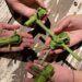 Hands holding woven palm leaf crafts on a wooden table.