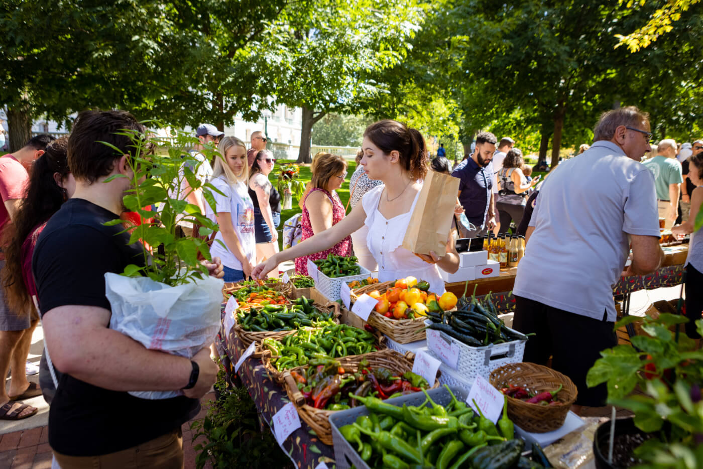 A patron shops at an outdoor farmers market stand selling a variety of peppers.