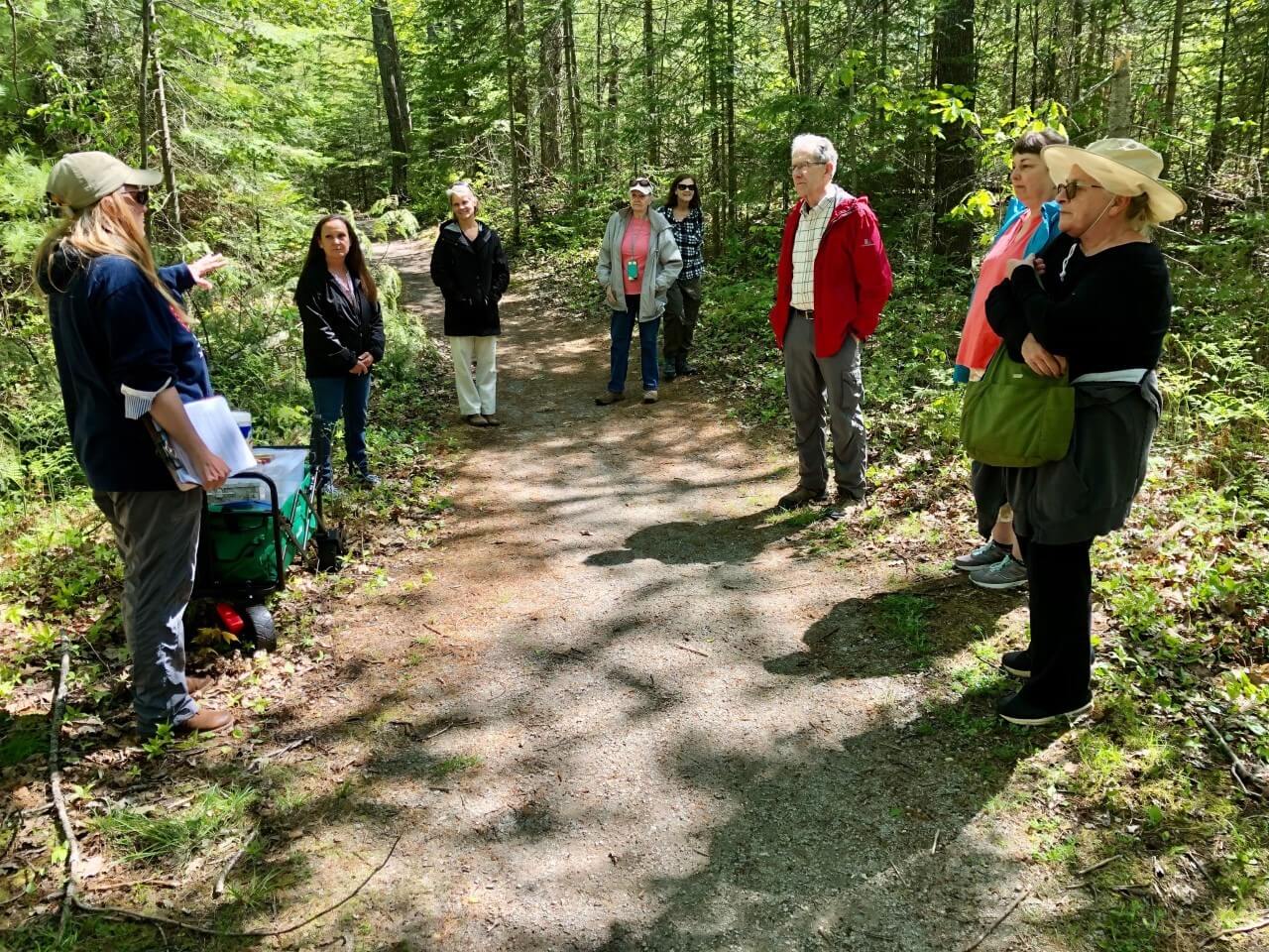 Maureen discusses forest bathing with a group of seven educators. They are standing on a sunlight-dappled, green forest path.