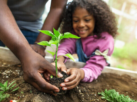 Investments in nature are a win-win for communities recovering from COVID-19: Q&A with Dr. Hanaa Hamdi