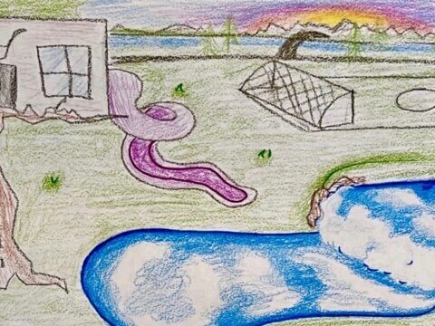 Nature Everywhere Communities: 3 approaches to community engagement