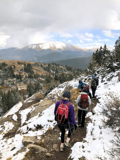 Wild Youth Passages Alumni