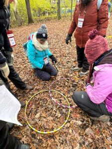 Four Teacher Field School participants examine two overlapping hula hoops lying on the forest floor.