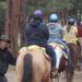 Group riding horses.