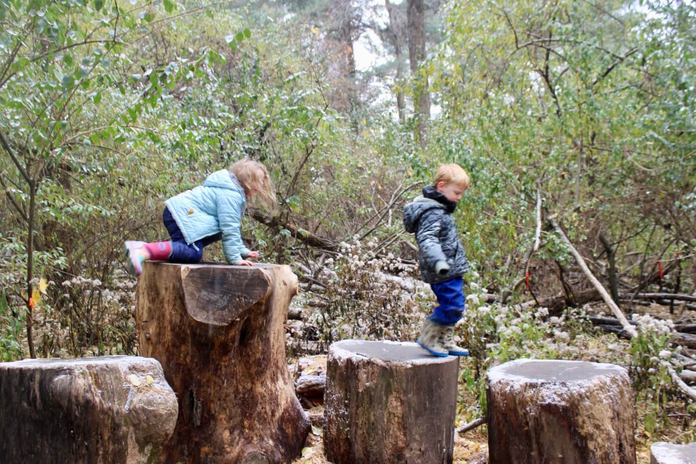 Two young children playing and stepping across large tree stumps in a wooded area.