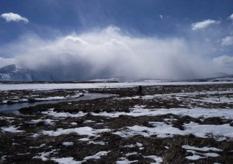 ON THE RIVER: The Restorative Power of Nature in Difficult Times