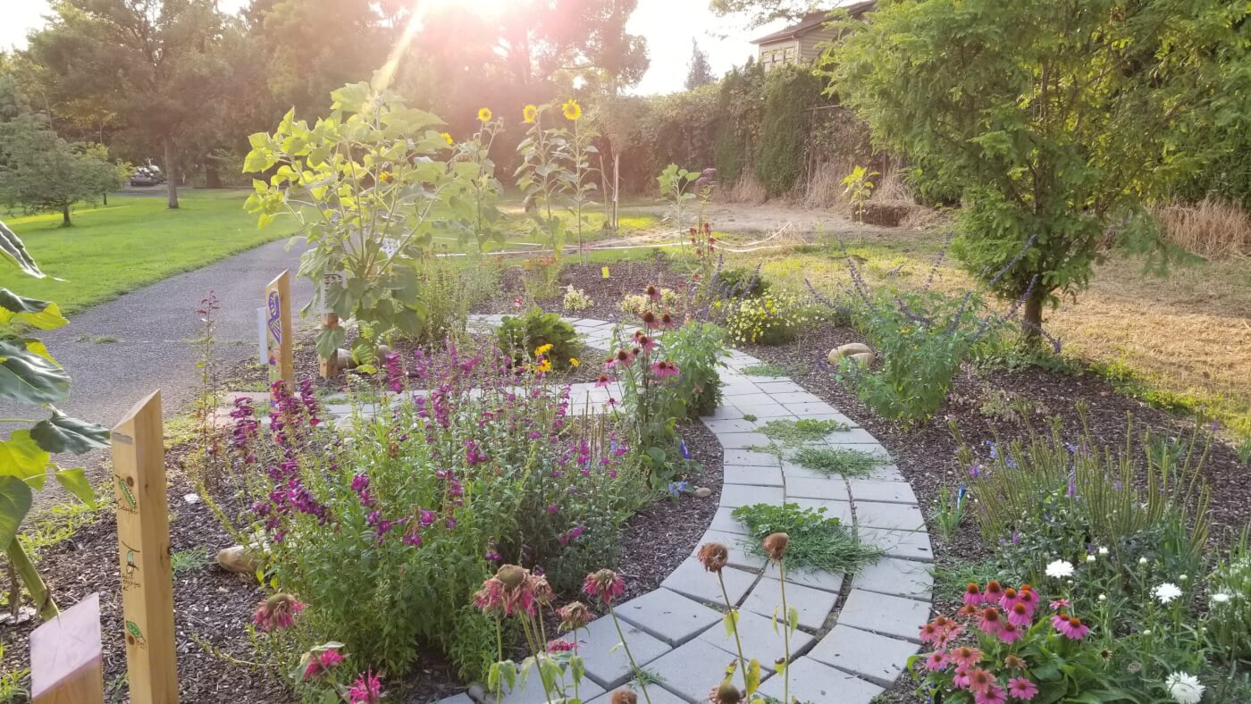 A curved stone path winds through a colorful butterfly garden filled with blooming flowers and sunflowers in warm evening light.
