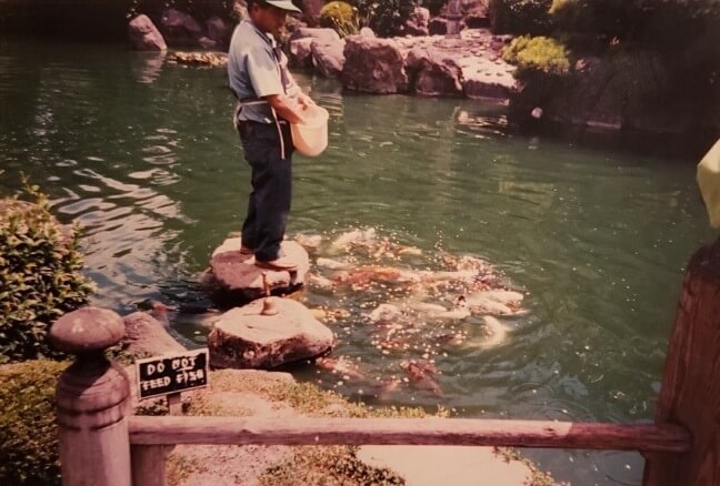 A vintage photograph of a parks worker feeding koi (large colorful fish) at a pond.