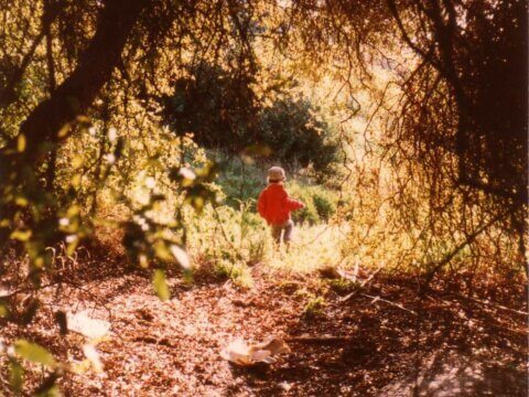 NEW INTERNATIONAL ATTENTION TO THE FORGOTTEN HUMAN RIGHT