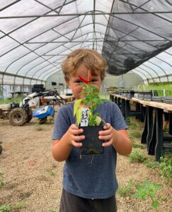 Child holding a small potted plant in a greenhouse.