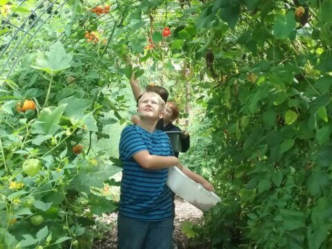 Lower Columbia Nature Network: Fostering partnerships to connect communities to nearby nature and public lands