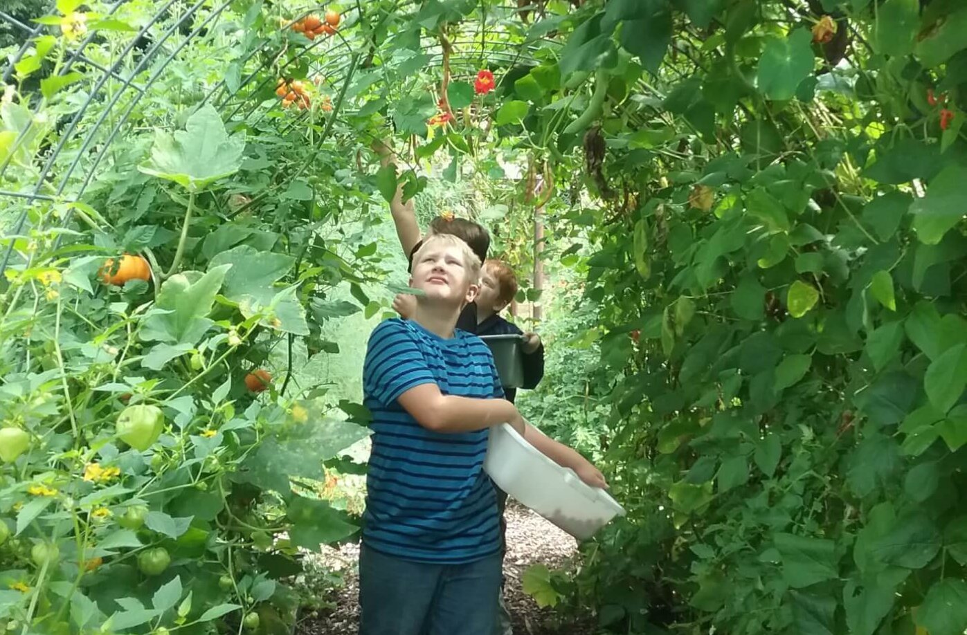 Two children harvest vegetables beneath a leafy garden archway, reaching for produce while carrying collection bins along a narrow path.