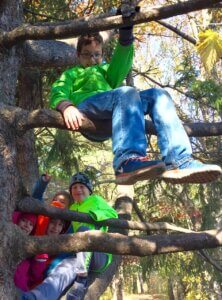 Four children in colorful jackets sitting and climbing on branches of a tree.